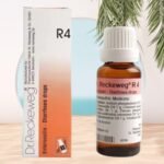 Dr Reckeweg R4 Homeopathic Medicine Enterocolin - 22ml Original_Imported - Fast Shipping to USA