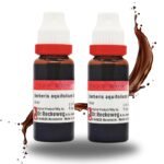 Dr reckeweg berberis aquifolium q || (20mlx2) - Fast Shipping to USA