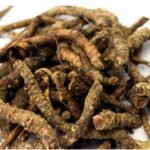 Divesh Store Kutki 100Grm - Picroriza Kurroa - Hellabore - Katukarogani Root - Kadu - Katuka - ??? - ????? - Fast Shipping to USA