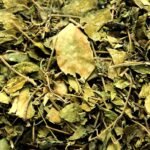 Divesh Store Gudmar - 200Grm - Gymncma Sylvestra - Meshashringi - Vishani - Madhunashini - Gurmar - Merasingi Dried Leaves - Gur Mar - Gud Mar - ??????? ?? ?????????? - Fast Shipping to USA