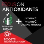 Drools Focus Premium Puppy Dry Dog Food, 100 g Pack - Fast Shipping to USA & Canada - Image 6