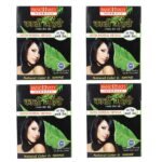 Panchvati Herbals Ayurvedic Mehandi with Herbal Henna ,200g (Pack of 4) 10g each - Black - Fast Shipping to USA & Canada