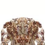 Karma Kettle Table Mountain Herbal Tea with Rooibos, Licorice, Sage, Fennel & Vanilla, Caffeine Free, Natural Detox, Perfect for After Meals - Loose Leaf Tea in Tin , 75 gms - Fast Shipping to USA & Canada - Image 6