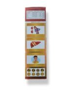 Cura Punarnava Makoy with Aloevera Ras, 500ml - Fast Shipping to USA - Image 4