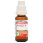 ADEL Hydrangea Q Mother Tincture (Pack of 1) - Fast Shipping to USA