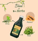 Cura Giloy Papita Ras IISupports Platelet Count II Immunity booster II Rich source of Vitamin C II 500ml - Fast Shipping to USA - Image 4