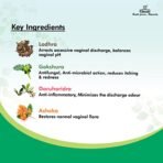 Charak Pharma Femiplex Tablet for abnormal white discharge in women (75 Tablets (Pack of 2)) - Fast Shipping to USA - Image 4