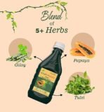 Cura Giloy Papita Ras 500ml. (Pack of 2)? - Fast Shipping to USA - Image 4