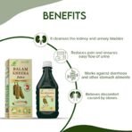 Cura Balam Kheera Ras| Kidney Stone Wellness | Anti-Microbial Properties (500 ml) - Fast Shipping to USA - Image 5