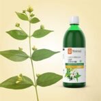 KRISHNA'S HERBAL & AYURVEDA Night Jasmine Parijat Harshringar Leaf Juice - 1000 ml, Pack of 1 | Fresh Harshringar Leaves | Natural Pain Reliever - Fast Shipping to USA - Image 5