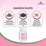 Charak Pharma Galakol Tablet To Improve Lactation & Breast Milk - (40 Tablets (Pack of 3)) - Fast Shipping to USA - Image 7