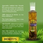 Panchvati Herbals Jadibuti Hair Oil With Comb Applicator 200 Ml, For Hair Fall Control & Hair Growth I Ayurvedic & Natural I For Men & Women - Fast Shipping to USA & Canada - Image 4
