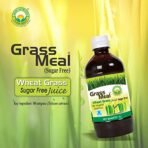 Basic Ayurveda Grass Meal (Wheat Grass) Juice | Sugar Free | Ayurvedic Juice for Detoxification | Improve Immunity | Activate Your Digestive System | Weight Loss | 1000ml - Fast Shipping to USA - Image 4