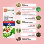 KRISHNA'S HERBAL & AYURVEDA Jeevan Sanjeevani Kwath - 1000 ml | Enriched with Aloe Vera, Amla, Giloy, Tulsi, Ashwagandha, and 4 more herbs || Natural Immunity Booster - Fast Shipping to USA - Image 4