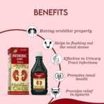 Cura Patherol Choor Ras For kidney stone 500 ml - Fast Shipping to USA - Image 2