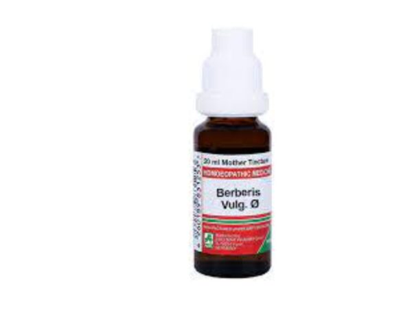 ADEL Berberis Vulgaris Q 20ml (Pack of 2) - Fast Shipping to USA