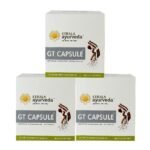 Kerala Ayurveda GT - 100 Capsules (Pack of 3)