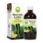 BASIC AYURVEDA Bhumi Amla & Giloy Mix Juice With Wheatgrass 450 Ml | - Fast Shipping to USA