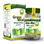 BASIC AYURVEDA Grass Meal (Wheat Grass) Powder 50g | Ayurvedic Supplements for Immunity & Blood Purifier | - Fast Shipping to USA