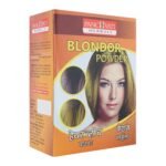 Panchvati Herbals Blonder Powder 10 gm each Pouch, Pack of - 12 - Fast Shipping to USA & Canada