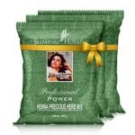 Shahnaz Husain Professional Power Henna Mehndi 100gm (Pack of 3) - Fast Shipping to USA & Canada