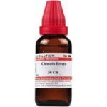 Dr. Willmar Schwabe India Clematis Erecta 30 CH 30ML (Pack of 2) - Fast Shipping to USA