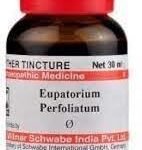 Dr. Willmar Schwabe India Eupatorium Perfoliatum Q 30ML - Fast Shipping to USA