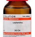 Dr. Willmar Schwabe India Leptandra 30 CH, 30ML (Pack of 2) - Fast Shipping to USA