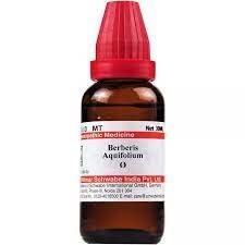Version 1.0.0 Dr. Willmar Schwabe India Pvt. Ltd. Berberis Aquifolium Q 30 Ml, Liquid - Fast Shipping to USA - Image 1