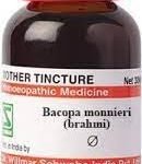 Dr. Willmar Schwabe India Bacopa Monnieri (Brahmi) Q (Pack of 1) - Fast Shipping to USA