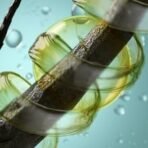 Girnar Lauki Shampoo | Hair Conditioning Shampoo, Natural Dudhi Khoda Shampoo Antidandruff Shampoo For Women And Men (775ml) - Fast Shipping to USA & Canada - Image 5