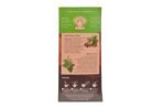 Organic India Tulsi Masala Chai, 25 Infusion Bags (Pack of 2) - Fast Shipping to USA & Canada - Image 3