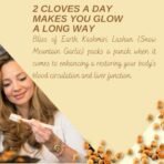 Bliss of Earth Naturally Organic Kashmiri Garlic 1kg Single Clove, Kashmiri Ek Pothi Lahsun - Fast Shipping to USA & Canada - Image 4