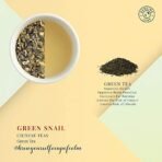 Dancing Leaf Green Snail Green Tea | Green Tea Blend | Loose Leaf Tin (50 GMS) - Fast Shipping to USA & Canada - Image 4