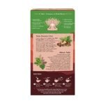 ORGANIC INDIA Tulsi Masala Chai 25 Tea Bags - Fast Shipping to USA & Canada - Image 4