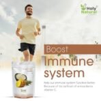 Holy Natural Pineapple Powder - 400 GM | No Added Sugar & Preservative | For Cake, Juice & Ice-cream - Fast Shipping to USA & Canada - Image 5