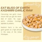 Bliss of Earth Naturally Organic Kashmiri Garlic 1kg Single Clove, Kashmiri Ek Pothi Lahsun - Fast Shipping to USA & Canada - Image 6