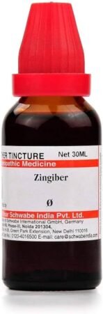 Dr. Willmar Schwabe India Zingiber (Zingiber officinale) Q 30 ML (Pcak of 3) - Fast Shipping to USA