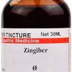Dr. Willmar Schwabe India Zingiber (Zingiber officinale) Q 30 ML (Pcak of 3) - Fast Shipping to USA