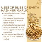 Bliss of Earth Naturally Organic Kashmiri Garlic 1kg Single Clove, Kashmiri Ek Pothi Lahsun - Fast Shipping to USA & Canada - Image 5