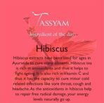 Tassyam Habibi Hibiscus Petals Herbal Tea 40g | Premium Tisanes - Fast Shipping to USA & Canada - Image 6