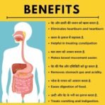 Healthally Ayurvedic Digestive Appetizer Syrup/Tonic for Acidity Gas Heartburn Bloating Relief|Constipation Stool Softener Syrup With Pudia Ajwain Saunf Hing|Boosts Digestion - 500 ML - Fast Shipping to USA - Image 3