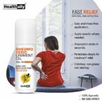 Healthally Khadi Pain Relief Roll On, Joint Pain Relief Oil | Muscle Pain,Back Pain,Shoulder Pain Relief Oil | 100% Ayurvedic | Non-Sticky Fact Action On Pain & Swelling Relief - 60 ML X 2 - Fast Shipping to USA - Image 5