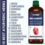 Healthally BioCardic Cardiac Care & Heart Health Syrup|Manage Cholesterol Level & BP Control Syrup with Arjunchaal Punarva Shankhpushpi Sarpagandha|Relieve Chest Blockage & Pain - 500 ML - Fast Shipping to USA - Image 7