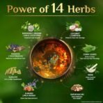 DABUR Vatika Neelibhringa 21 Hair Growth Oil - (100Ml+ 50Ml Extra Free) | 14 Ayurvedic Herbs | Ayurvedic Medicine | 4X Less Hairfall | 3X Thicker Hair | 21 Hair Benefits| With Ergnomic Comb Applicator - Fast Shipping to USA & Canada - Image 5