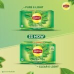 Lipton Clear & Light Green Tea Bags 100 Pcs, 130 Grams - Fast Shipping to USA & Canada - Image 4