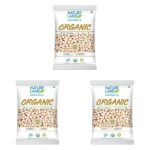 Natureland Organics Kabuli Chana/White Chana/Chole 1 Kg - Organic Healthy Chana (Pack of 3) - Fast Shipping to USA & Canada