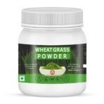 Holy Natural Organic Wheat Grass Powder - 454 GM | Pure & Natural I Nutritional Content of Favorite Green Smoothies I High in chlorophyll I Raw, Greenish Like Leaves | No Preservative - Fast Shipping to USA & Canada