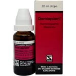 Dr. Willmar Schwabe Germany Damiaplant drops 20 ml (Pack of 1) - Fast Shipping to USA