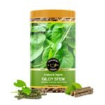 TEACURRY Organic Giloy Sticks (50 Gram) - Helps with Recovery, Improve Digestion & Body Wellness, Suports Overall Well-being - 100% Natural Ingredients - Fast Shipping to USA & Canada